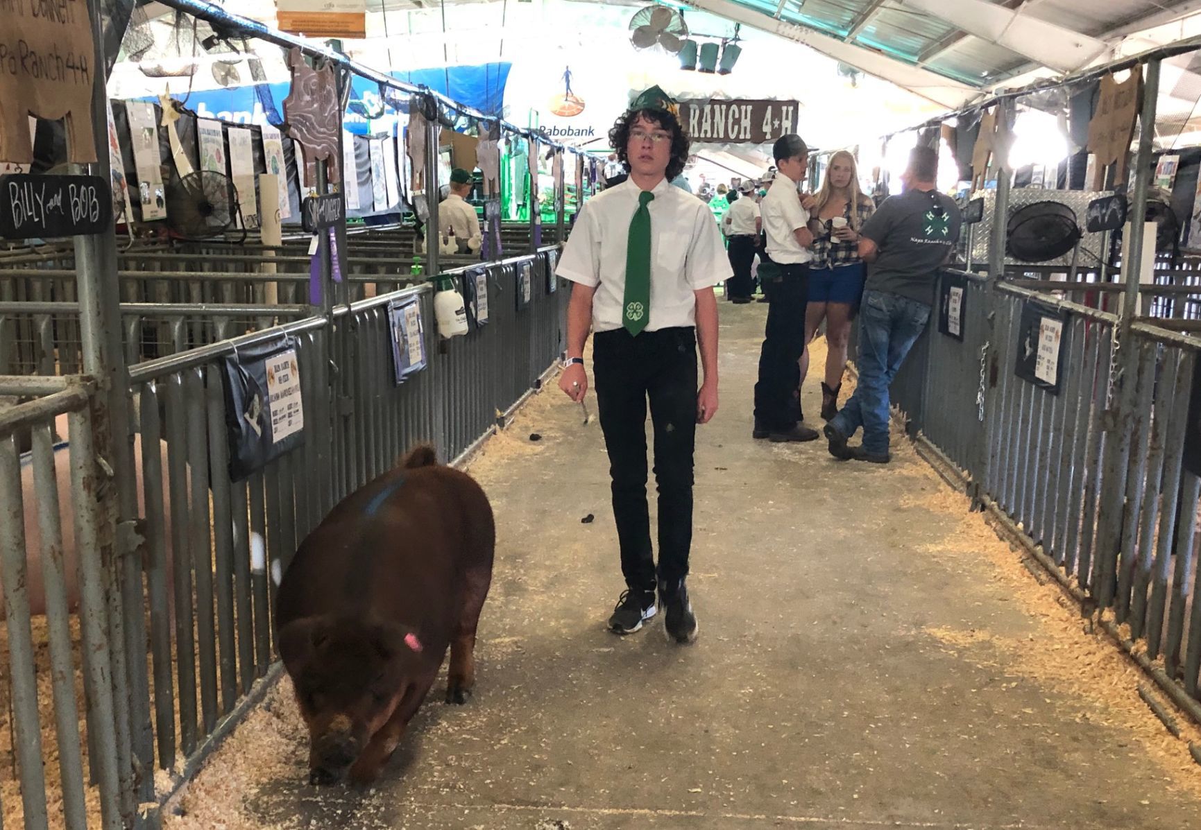 Napa Town and Country Fair, 2019 Livestock Auction